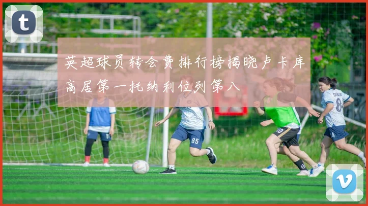 英超球员转会费排行榜揭晓卢卡库高居第一托纳利位列第八