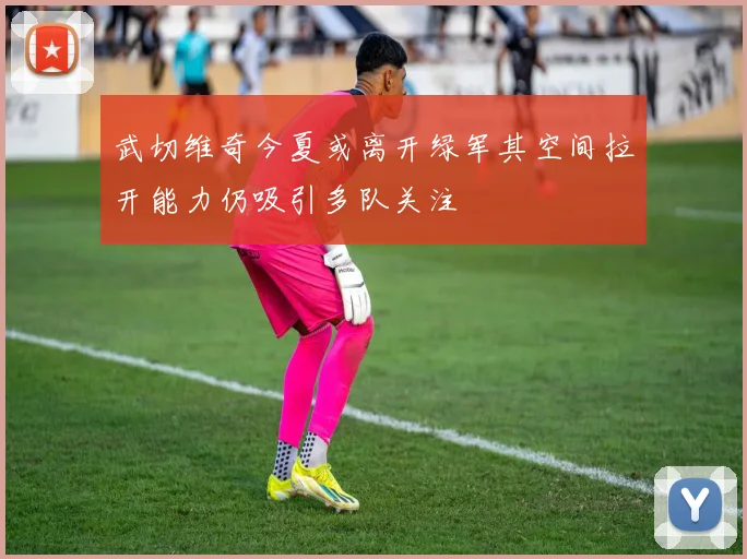 武切维奇今夏或离开绿军其空间拉开能力仍吸引多队关注