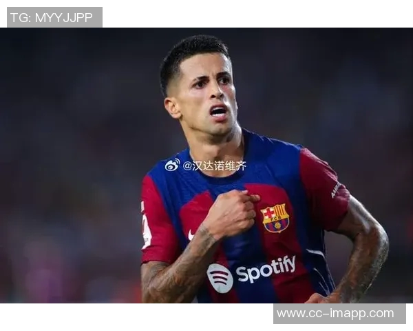 国米新闻网报道坎塞洛薪水分担方案国米承担300万新月负责剩余450万